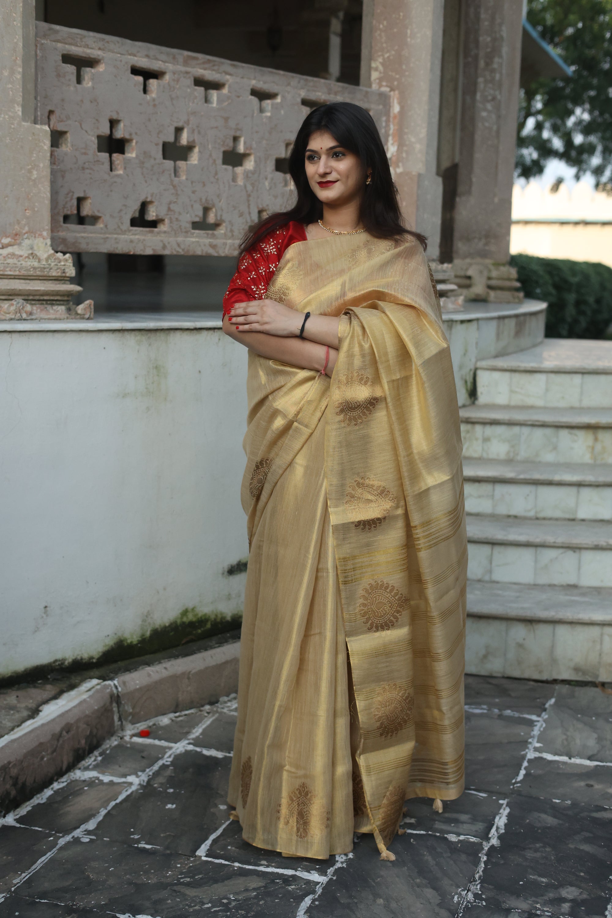 Tissue Silk Maheshwari Saree