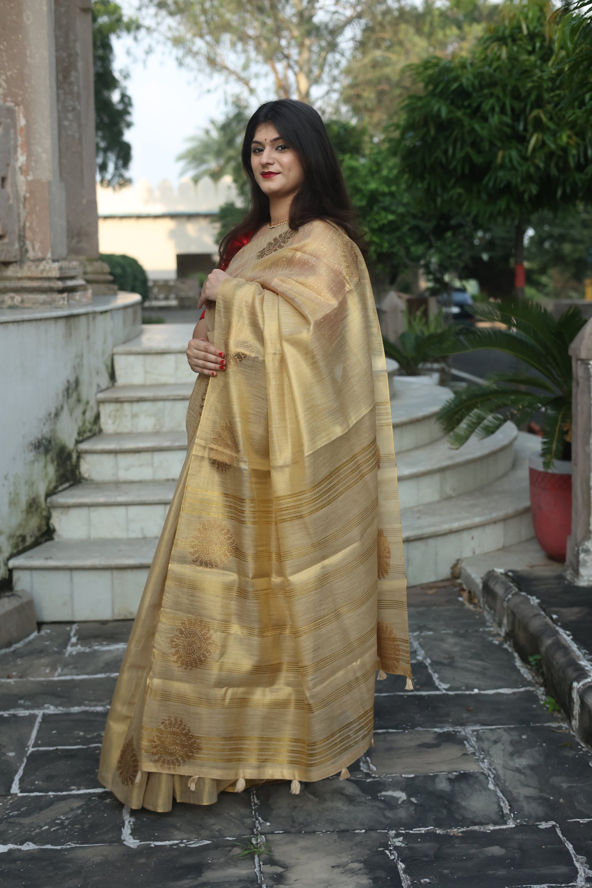 Tissue Silk Maheshwari Saree